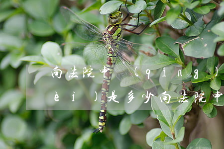 向法院申請(qǐng)離婚的訴訟費(fèi)是多少(向法院申請(qǐng)離婚的訴訟費(fèi)是多少)