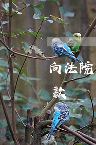 向法院申請欠款訴訟得怎么寫(向法院申請欠款訴訟的怎么寫)
