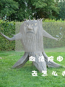 向法院申请了评残可以不去吗(评残本人不能去怎么办)