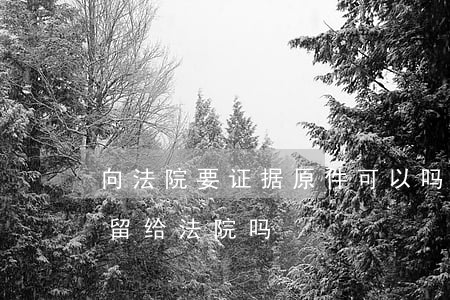 向法院要证据原件可以吗(打官司证据原件要留给法院吗)