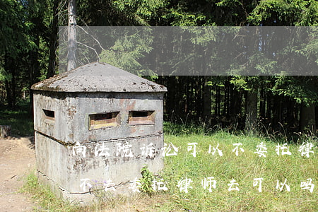 向法院诉讼可以不委托律师吗(法院开庭原告不去委托律师去可以吗)