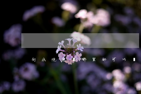 向法院起訴哪里都可以嗎