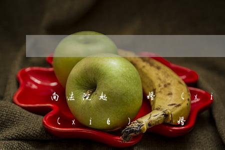 向法院起訴離婚協(xié)議書怎么寫(協(xié)議離婚訴訟書怎么寫范文)