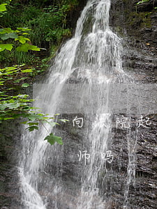 向法院起诉必须要请律师吗(起诉一定要请律师吗?)