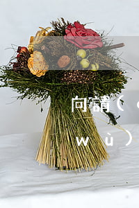 向請(qǐng)律師浙江澤大律師事務(wù)所好嗎(紹興澤大律師事務(wù)所怎么樣)