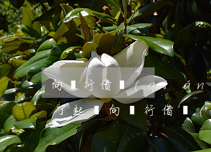 向銀行借錢(qián)還錢(qián)了起訴(向銀行借錢(qián)還錢(qián)了起訴有效嗎)