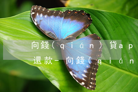 向錢(qián)貸app上不去了該怎么還款-向錢(qián)貸app上不去了該怎么還款呢