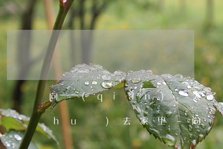 向錢(qián)貸欠了1000多說(shuō)去家里-向錢(qián)貸欠了1000多說(shuō)去家里住