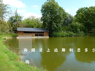 向錢貸上逾期利息多少(有逾期貸款可以借錢嗎)