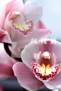 向錢貸延期還款逾期一天(申請延期還款算逾期嗎)
