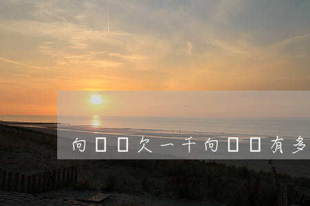 向錢貸欠一千(向錢貸有多少人不還)