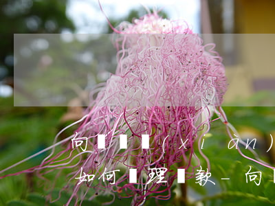 向錢貸現(xiàn)在進(jìn)不去如何處理還款-向錢貸現(xiàn)在進(jìn)不去如何處理還款問題
