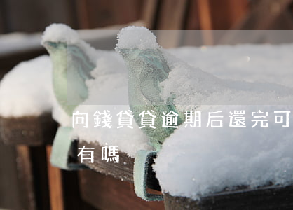 向錢貸貸逾期后還完可以再借嗎-向錢貸還有嗎