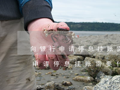 向银行申请停息挂账需要什么条件-向银行申请停息挂账需要什么条件呢