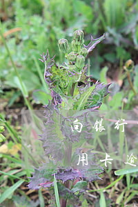 向银行申请减免信用卡逾期利息怎么申请（信用卡逾期了怎么协商减免利息）