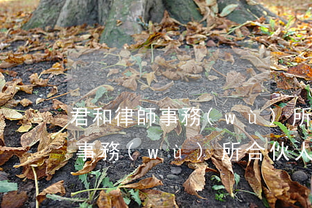 君和律師事務(wù)所北京(北京君和律師事務(wù)所合伙人)