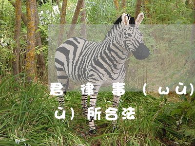君納律師事務(wù)所(君納律師事務(wù)所合法嗎)