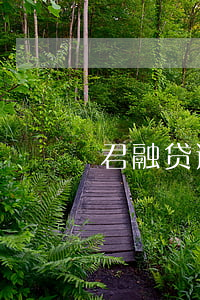 君融贷逾期还款最新消息
