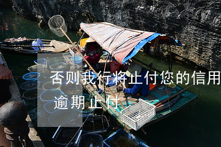 否则我行将止付您的信用卡（信用卡因其他行逾期止付）