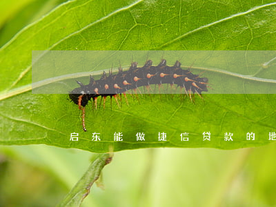 启东能做捷信贷款的地方(启东贷款公司)