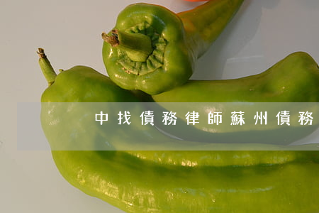 吳中找債務律師 蘇州債務律師