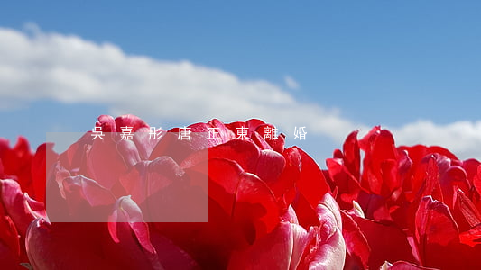 吳嘉彤唐正東離婚