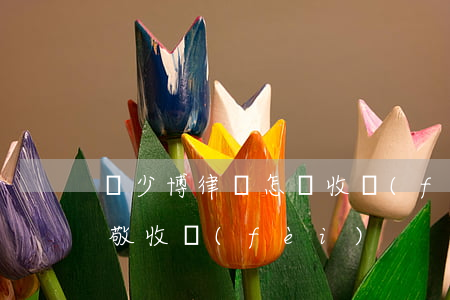 吳少博律師怎樣收費(fèi)(北京律師吳敬收費(fèi))