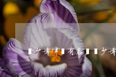吳少博律師有名嗎(吳少博律師有名嗎)