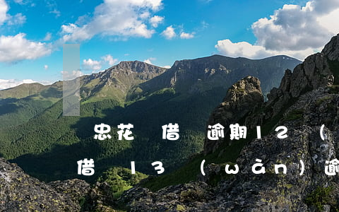 吳忠花唄借唄逾期12萬(wàn)(支付寶借唄13萬(wàn)逾期)