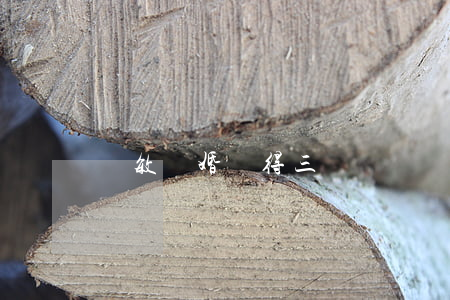 吳敏離婚趙得三