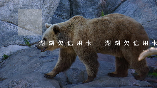 吳湖湖欠信用卡(吳湖湖欠信用卡)