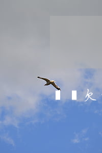 吳濤欠拍拍貸的錢(拍拍貸 老板)