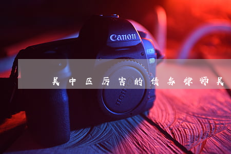 吴中区厉害的债务律师(吴中区律师协会地址)