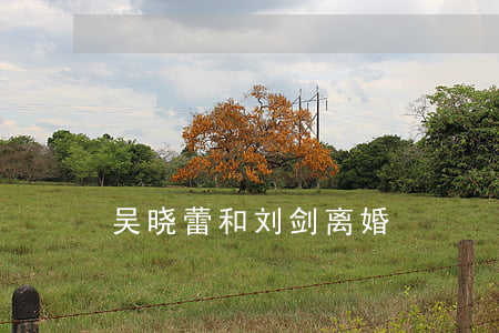 吴晓蕾和刘剑离婚