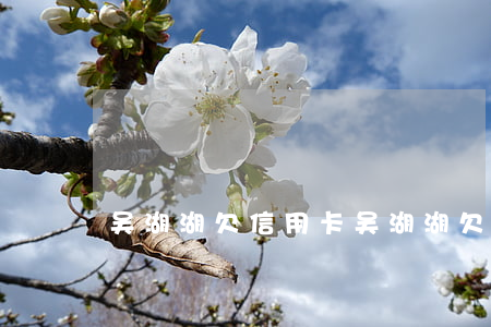 吴湖湖欠信用卡(吴湖湖欠信用卡)