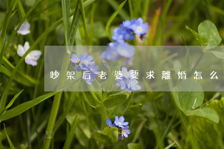 吵架后老婆要求離婚怎么辦