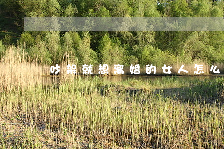 吵架就想离婚的女人怎么办