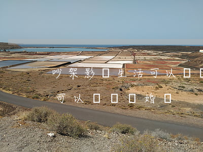 吵架影響生活可以訴訟離婚嗎(吵架影響生活可以訴訟離婚嗎)