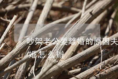 吵架老公要離婚的原因(夫妻吵架老公提出離婚怎么辦)