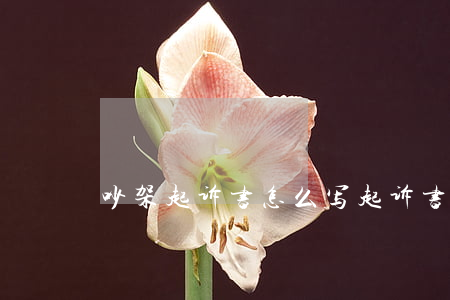 吵架起诉书怎么写(起诉书 怎么写)