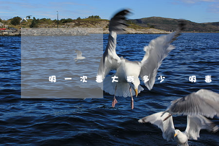 吸一次毒大概多少錢(吸毒一次大概要多少錢)
