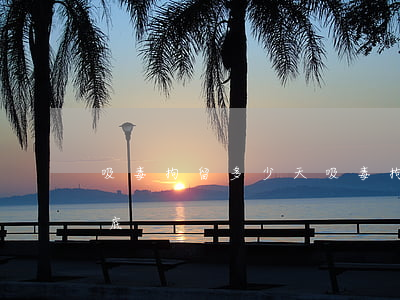 吸毒拘留多少天(吸毒拘留多少天以上可有案底)