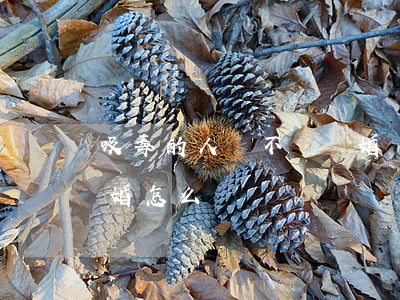 吸毒的人該不該離婚(對方是吸毒的如果要離婚怎么辦)