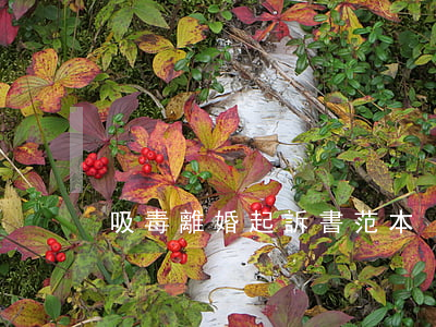 吸毒離婚起訴書范本