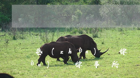 呂巷鎮(zhèn)債務律師(呂巷鎮(zhèn)債務律師事務所)