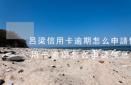 呂梁信用卡逾期怎么申請停息掛賬-呂梁信用卡逾期怎么申請停息掛賬的