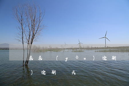 呆呆購(gòu)逾期兩天(呆呆購(gòu)逾期兩天)