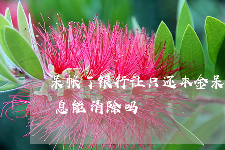 呆帐了银行让只还本金(呆账只还本金不还利息能清除吗?)