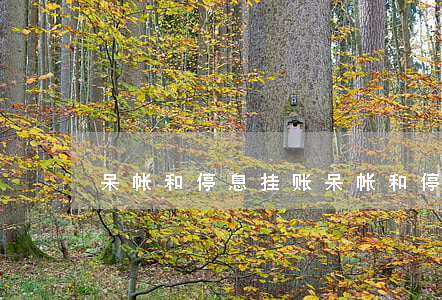 呆帐和停息挂账(呆帐和停息挂账的区别)