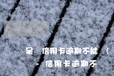呆帳信用卡逾期不能協(xié)商怎么投訴-信用卡逾期不給協(xié)商